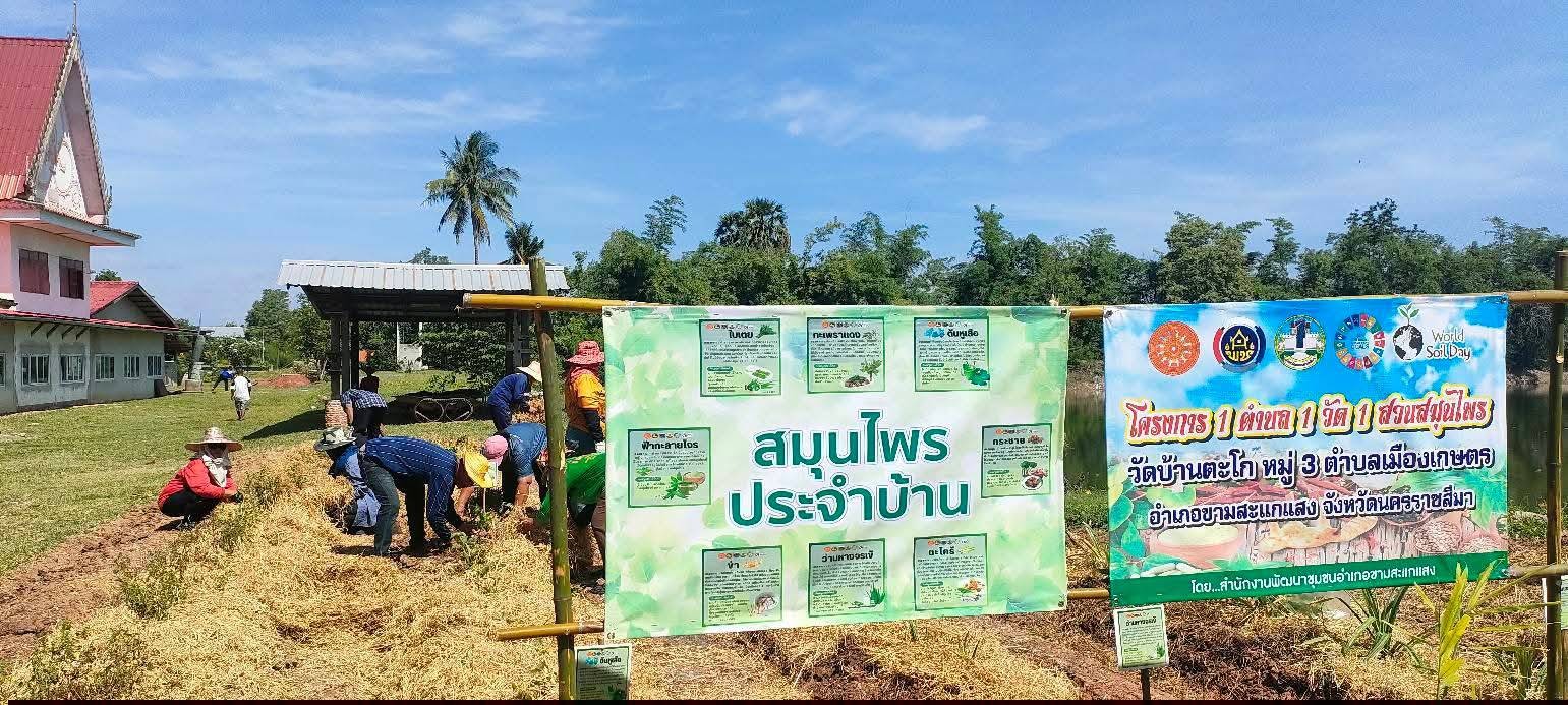 ภาพกิจกรรม 2