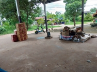 กิจกรรม