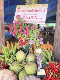 กิจกรรม